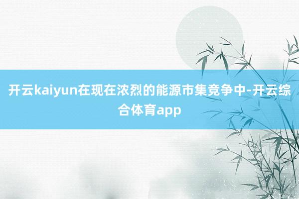 开云kaiyun在现在浓烈的能源市集竞争中-开云综合体育app