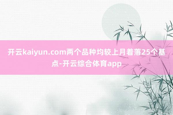 开云kaiyun.com两个品种均较上月着落25个基点-开云综合体育app