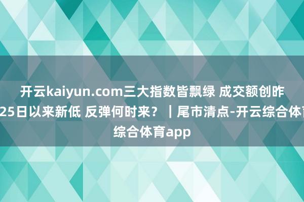 开云kaiyun.com三大指数皆飘绿 成交额创昨年9月25日以来新低 反弹何时来？｜尾市清点-开云综合体育app