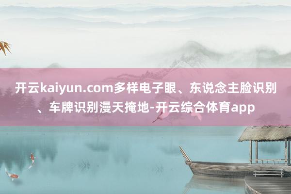 开云kaiyun.com多样电子眼、东说念主脸识别、车牌识别漫天掩地-开云综合体育app