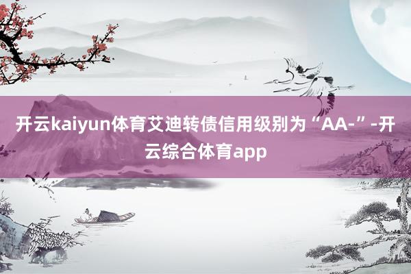 开云kaiyun体育艾迪转债信用级别为“AA-”-开云综合体育app